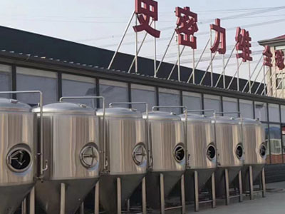 裕华精酿啤酒设备厂—市场规模与跨界新需求